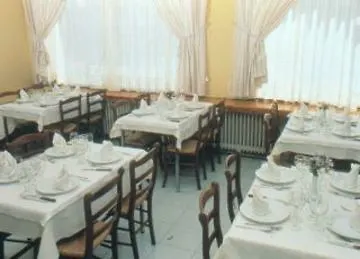 Hermus Centre Vila فندق
